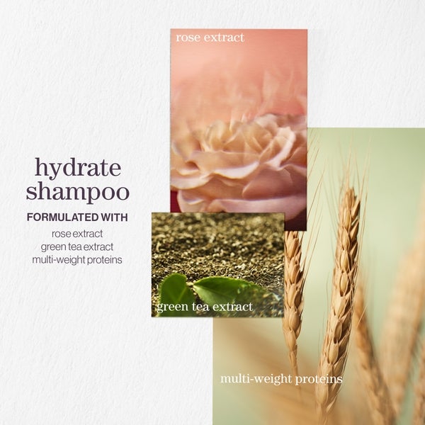 Pureology Pureology Hydrate Shampoo 266ml Presa
