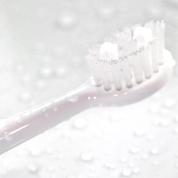 Spotlight Oral Care Spotlight Oral Care Sonic Replacement Heads Ritorno libero