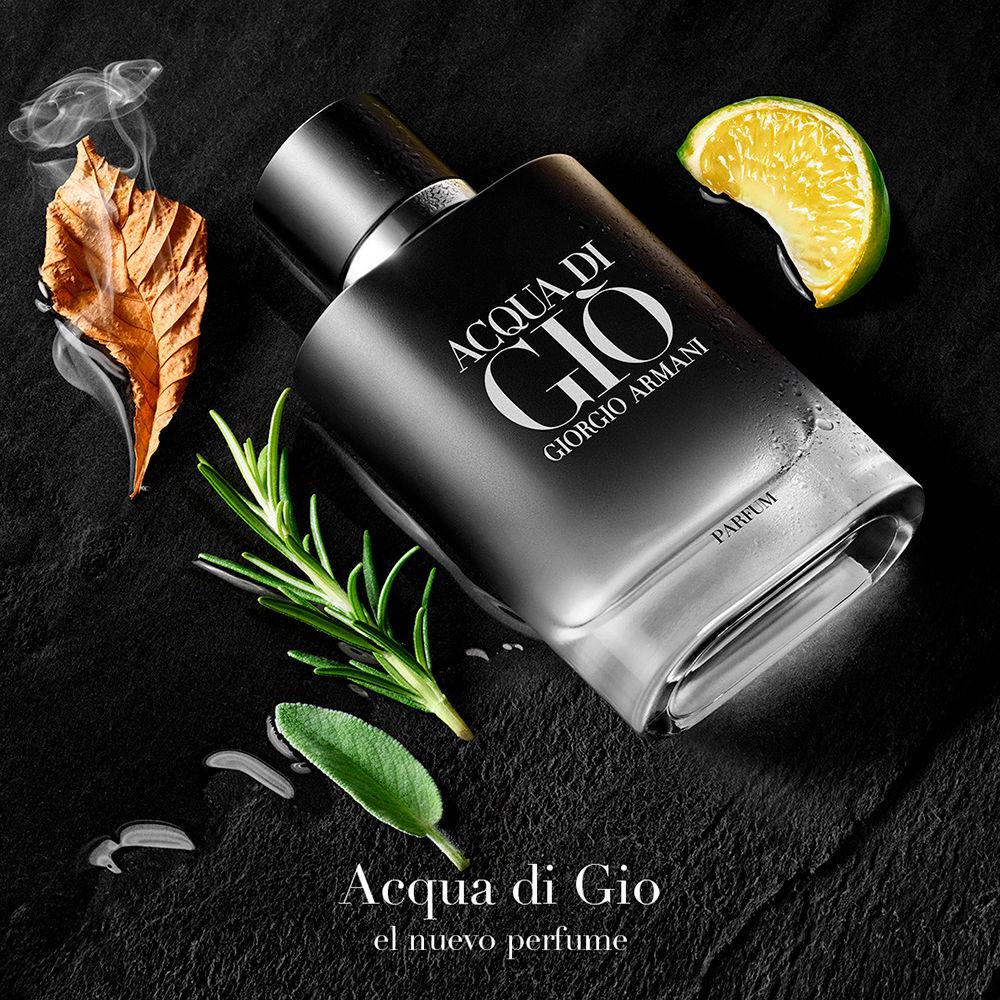 Giorgio Armani ACQUA DI GIÒ Presa