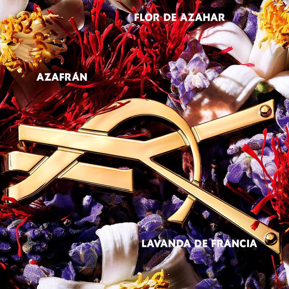 Yves Saint Laurent LIBRE LE PARFUM Negozi Online