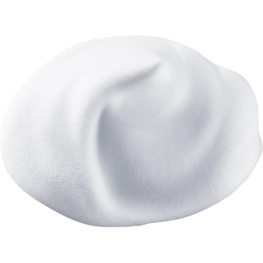 Shiseido Cleansing & Makeup Remover Clarifying Cleansing Foam Negozio