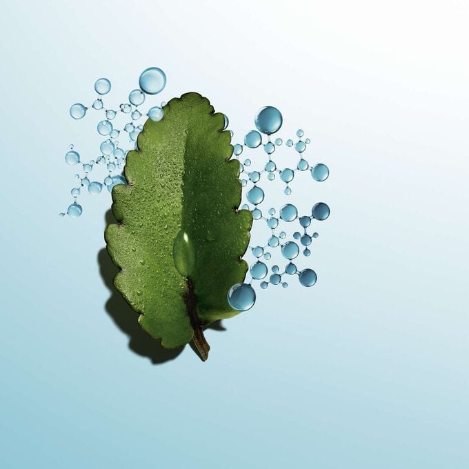 Clarins Hydra-Essentiel [HA²] Siero Bifase Idratante In Linea