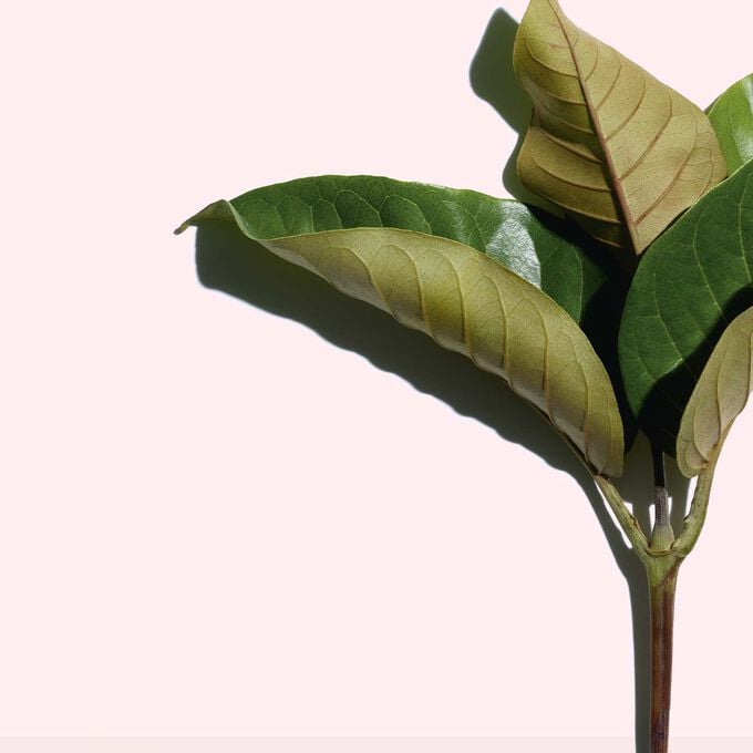 Clarins Lozione di giovinezza effetto lifting Multi-Intensive 50+ Qualità Garantita