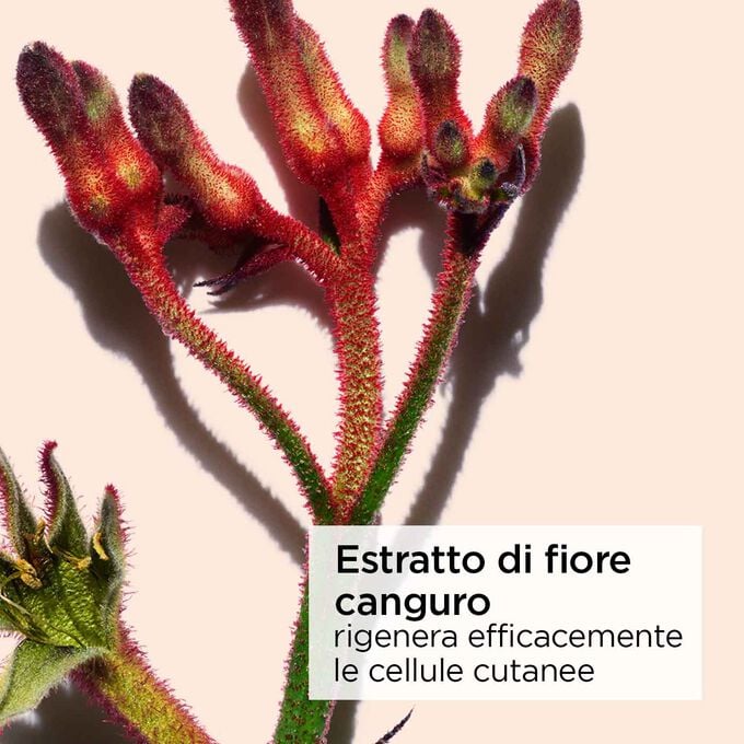 Clarins Extra-Firming Crema Antirughe Tutti i tipi di pelle Fino Al -60%