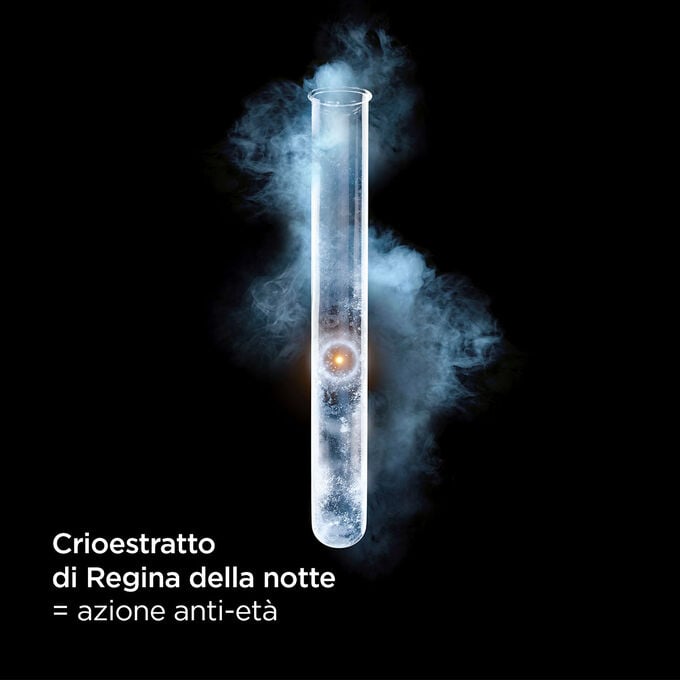 Clarins La Crème Riche Outlet