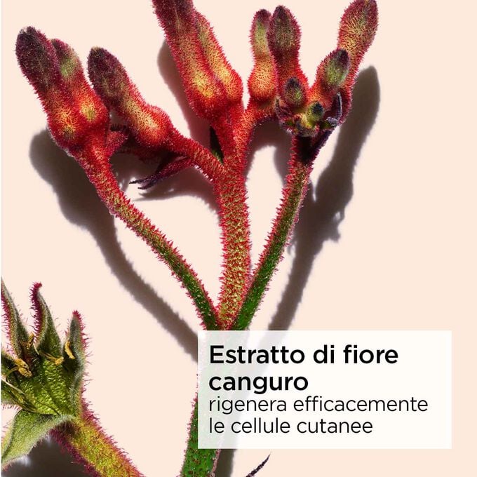 Clarins Extra-Firming Crema Antirughe Notte Speciale Pelle Secca Saldi Di Fabbrica