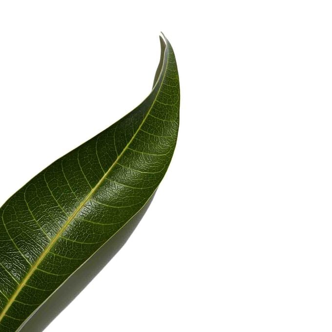 Clarins UV PLUS Antinquinamento Trasparente Offerta