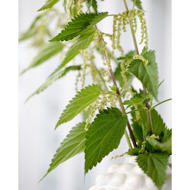 Acca Kappa CREMA MANI AROMATICA Nuovo