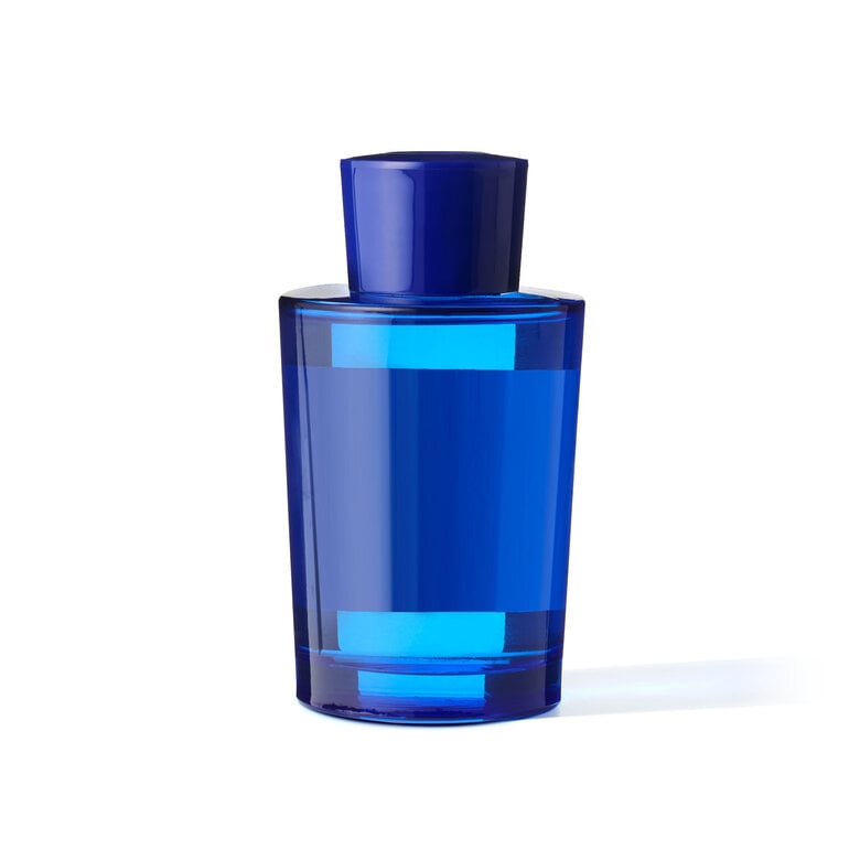 Acqua Di Parma DIFFUSORE BLU MEDITERRANEO MIRTO DI PANAREA Spedizione Gratuita